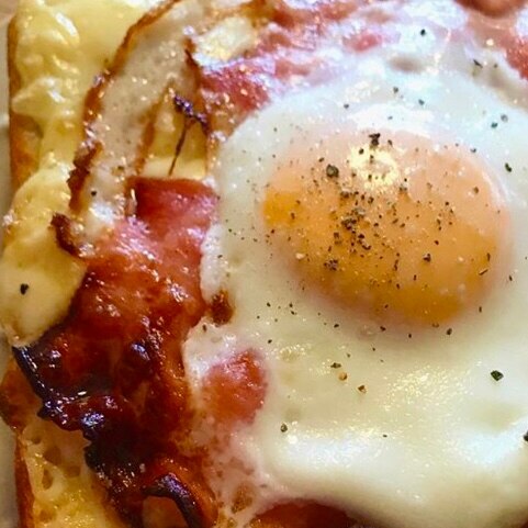 爬虫類ウェットシェルター 目玉焼きベーコントースト デイリー