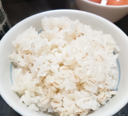 目指せ麦飯上級者！　ほぼ５割麦ご飯の覚書イエア！