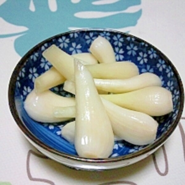 らっきょうの塩漬け レシピ 作り方 By Aoi 楽天レシピ らっきょうの塩漬け レシピ 作り方 By Aoi 楽天レシピ