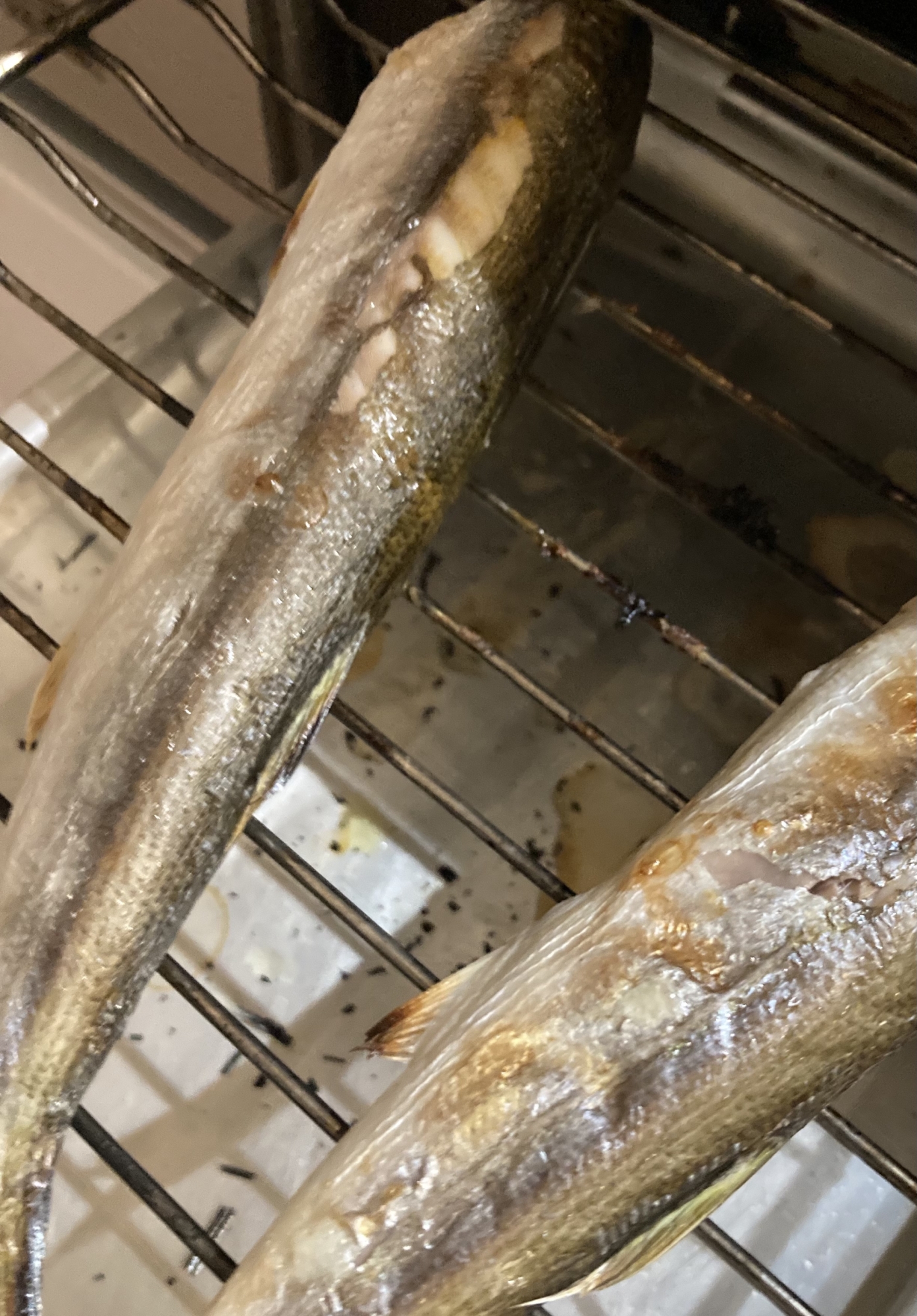 かますの柔らか塩焼き レシピ 作り方 By へんてこへんてこママ 楽天レシピ