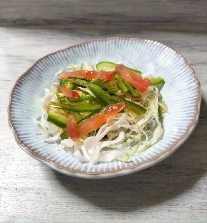 きょうはこちら✨生野菜大好きで毎日大量消費に食べてます♫美味しいパプリカレシピ感謝(◕ᴗ◕✿)