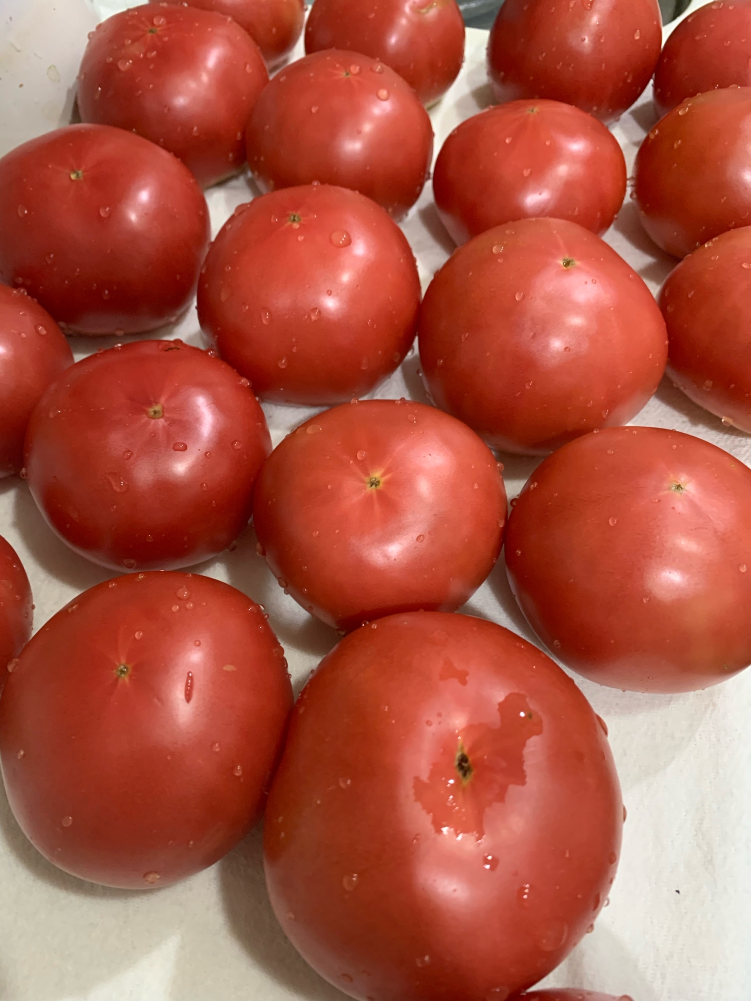 まるごとトマトの冷凍方法