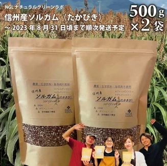 信州産ソルガム《NGLナチュラルグリーンラボ》