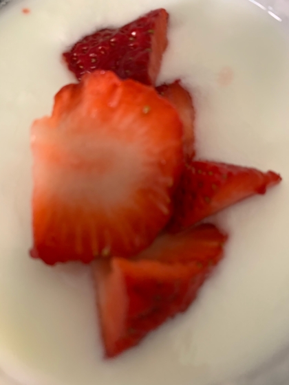 苺とクリチのヨーグルト