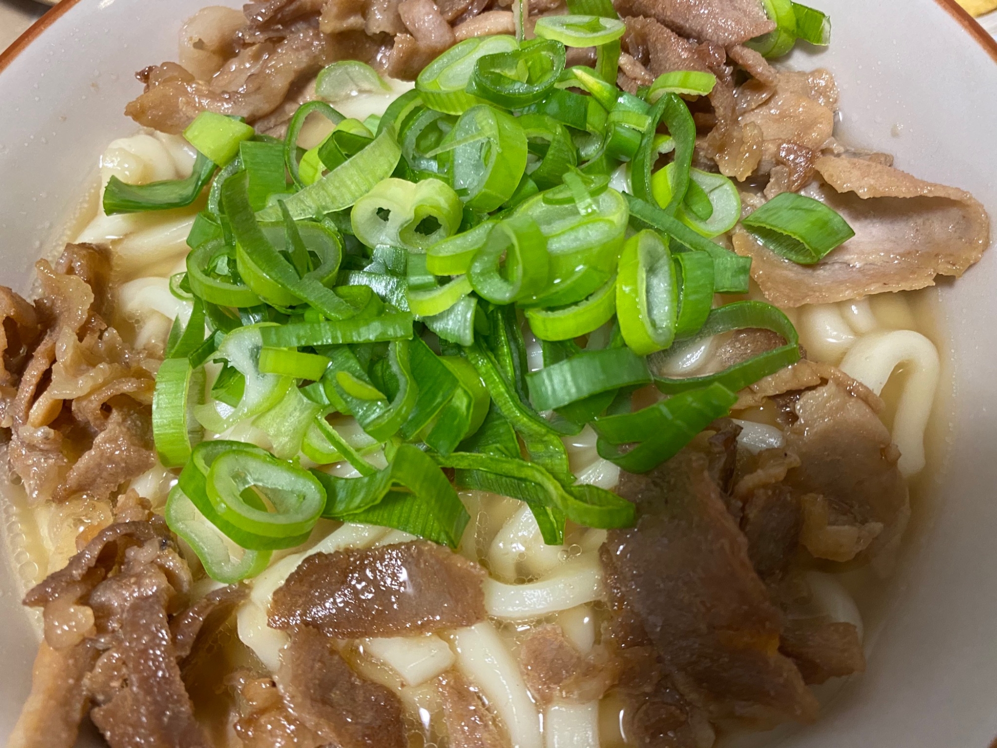 ネギたっぷり♪豚こまの肉うどん