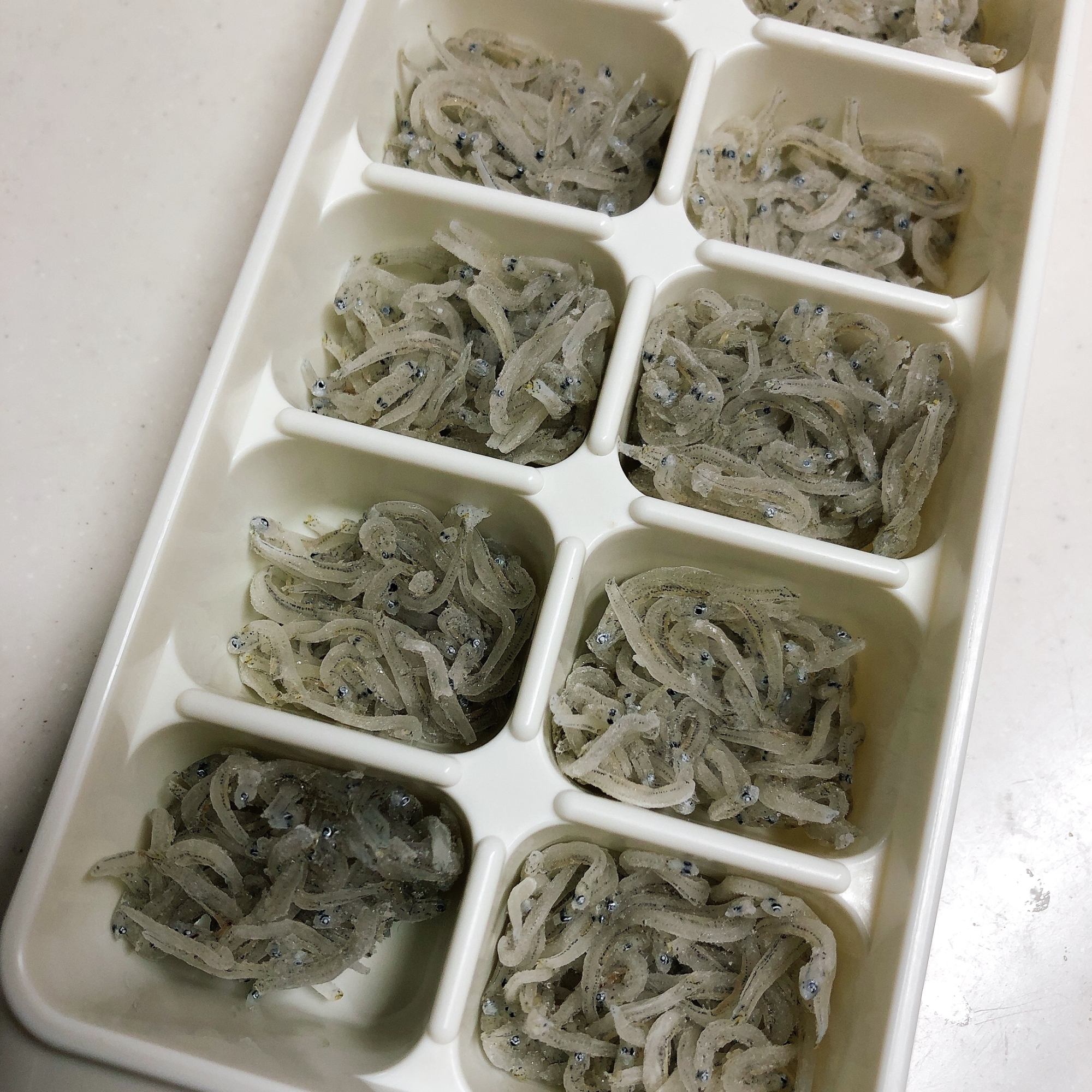 離乳食 しらすの塩抜きと冷凍保存 レシピ 作り方 By なおのり 楽天レシピ 離乳食 しらすの塩抜きと冷凍保存 レシピ 作り方 By なおのり 楽天レシピ