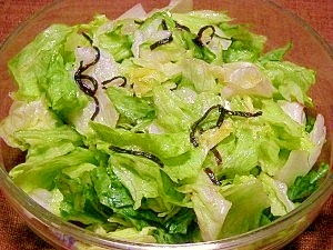 レタスと塩昆布の簡単サラダ レシピ 作り方 By ブルーボリジ 楽天レシピ レタスと塩昆布の簡単サラダ レシピ 作り方 By ブルーボリジ 楽天レシピ