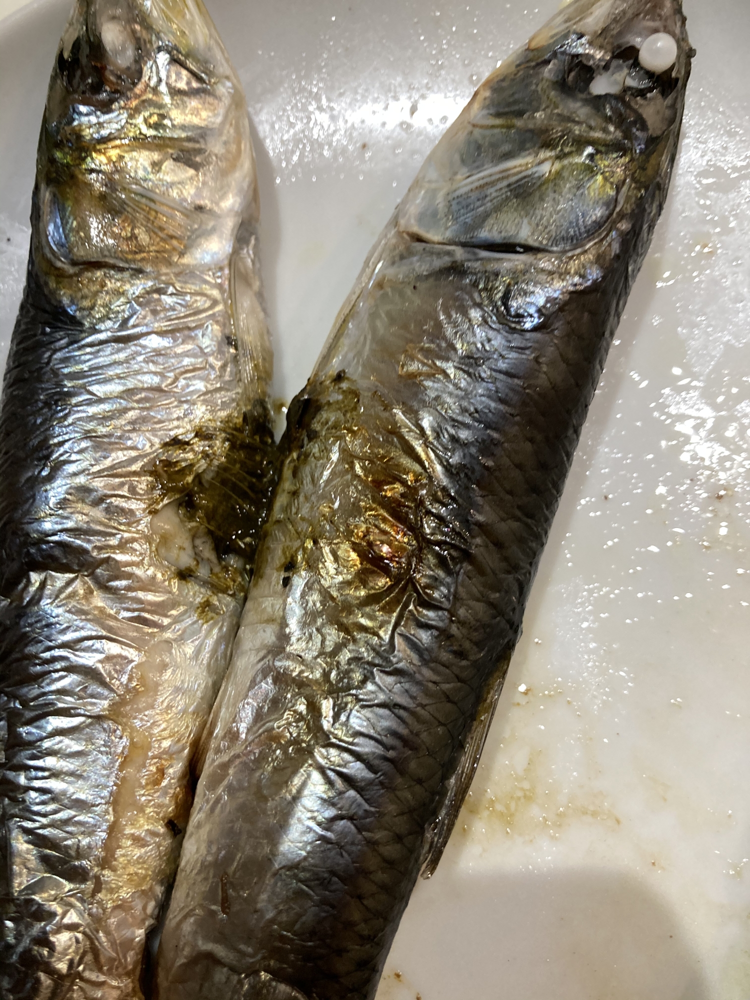 フライパンで塩焼きマイワシ レシピ 作り方 By へんてこへんてこママ 楽天レシピ フライパンで塩焼きマイワシ レシピ 作り方 By へんてこへんてこママ 楽天レシピ