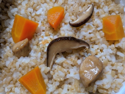鶏皮☆鶏皮と人参と舞茸の炊き込みご飯