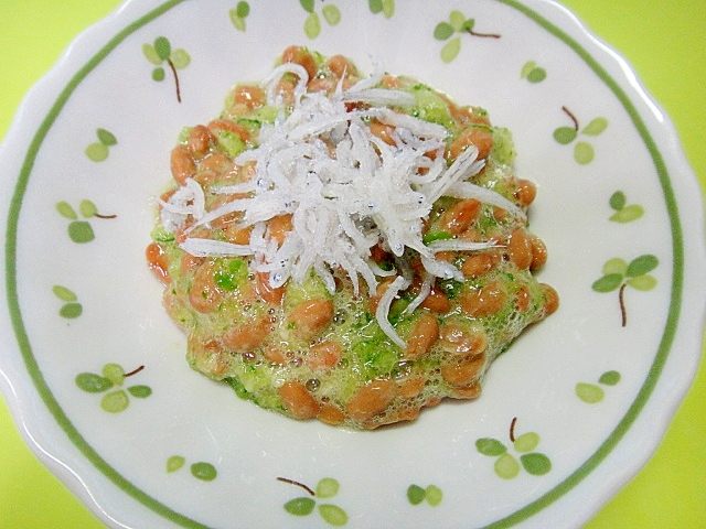 すりおろしきゅうりとしらすの納豆 レシピ 作り方 By Mint74 楽天レシピ