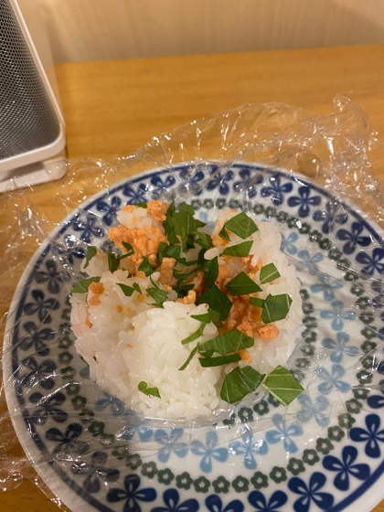 ゴマはなかったのですが、美味しくできました！大葉と鮭の組み合わせを思いつかなかったです。ありがとうございます