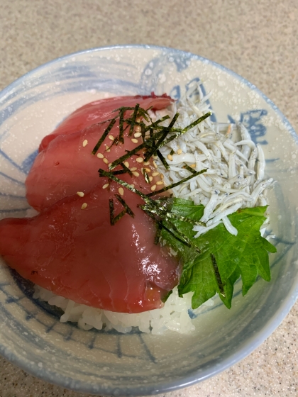 しらすマグロ丼