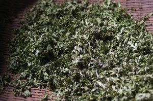 1年保存okの乾燥ヨモギの作り方 レシピ 作り方 By 和土 楽天レシピ 1年保存okの乾燥ヨモギの作り方 レシピ 作り方 By 和土 楽天レシピ