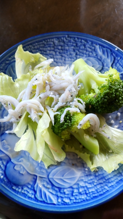 オリーブオイルで食べる♡しらすサラダ