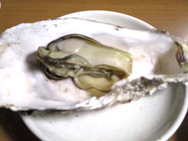 自宅でできる殻つき牡蠣の焼き方