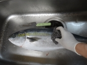 初心者でもできる 寒ブリ三枚下し レシピ 作り方 By Startrek 楽天レシピ 初心者でもできる 寒ブリ三枚下し レシピ 作り方 By Startrek 楽天レシピ