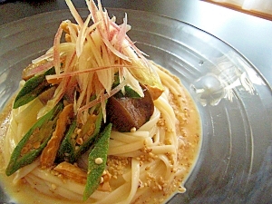 野菜をシッカリ食べよう♪夏のぶっかけうどん