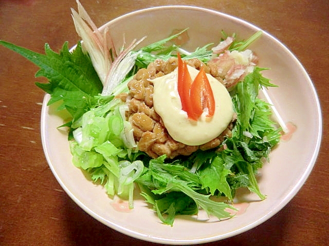 いろんな味が楽しめる！！納豆サラダ