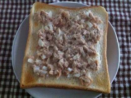 玉ねぎの食感と香りがいい感じ～♪
とっても美味しかったです（＾＾）