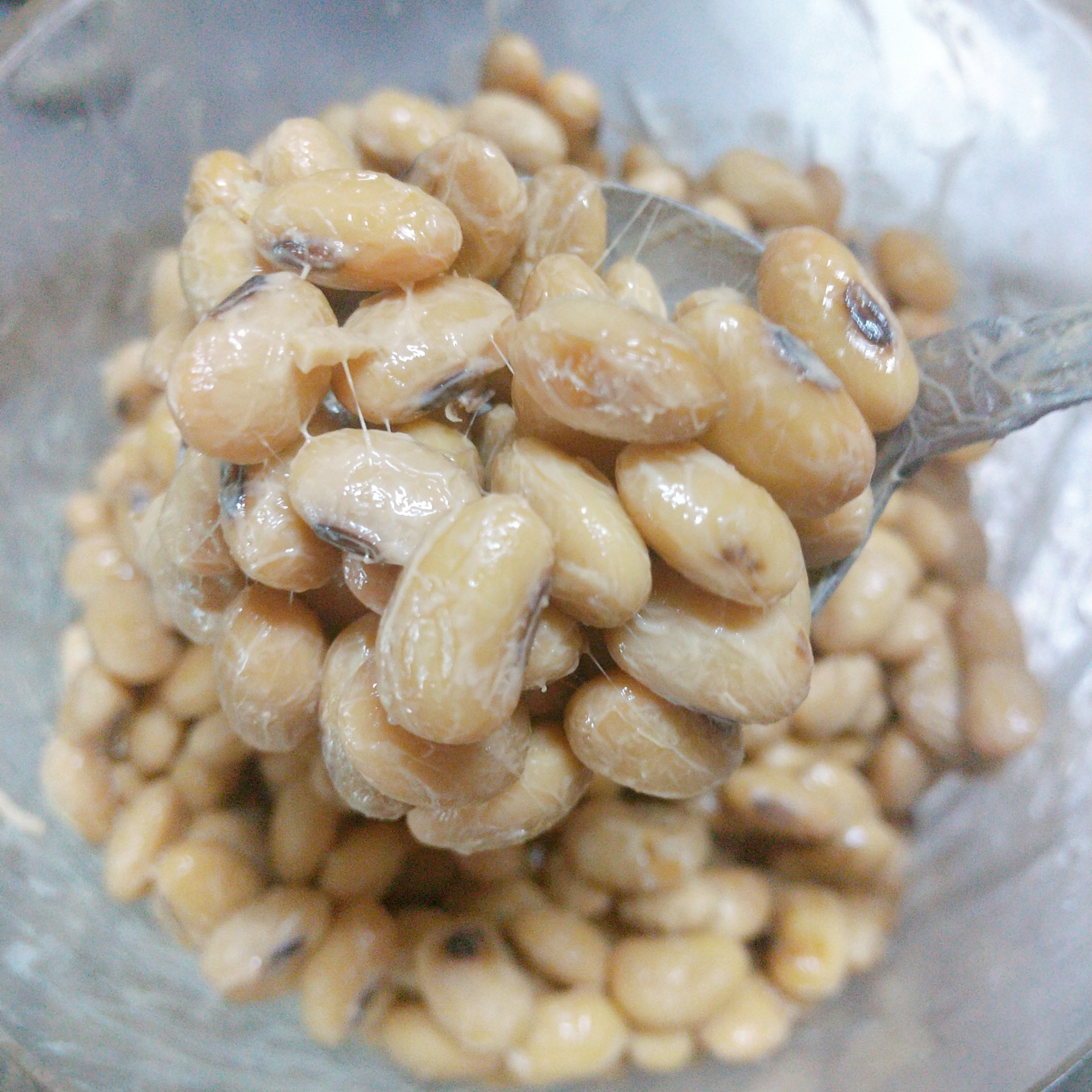 自家製【納豆】圧力鍋とヨーグルトメーカーで作ります