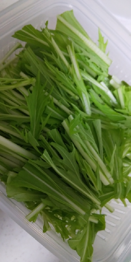 水菜の新鮮保存方法 (冷蔵)