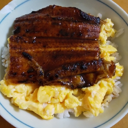 初うなたま丼、美味しかったです！
ご馳走さまでした。