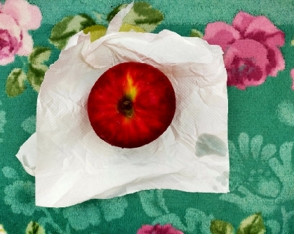 ひろちゃん✨おはようございます( ≧∀≦)ノりんごの冷蔵方法しました(o^ O^)シ彡☆これでゆっくり食べれます✨リピにポチ✨✨いつもありがとうございます✨