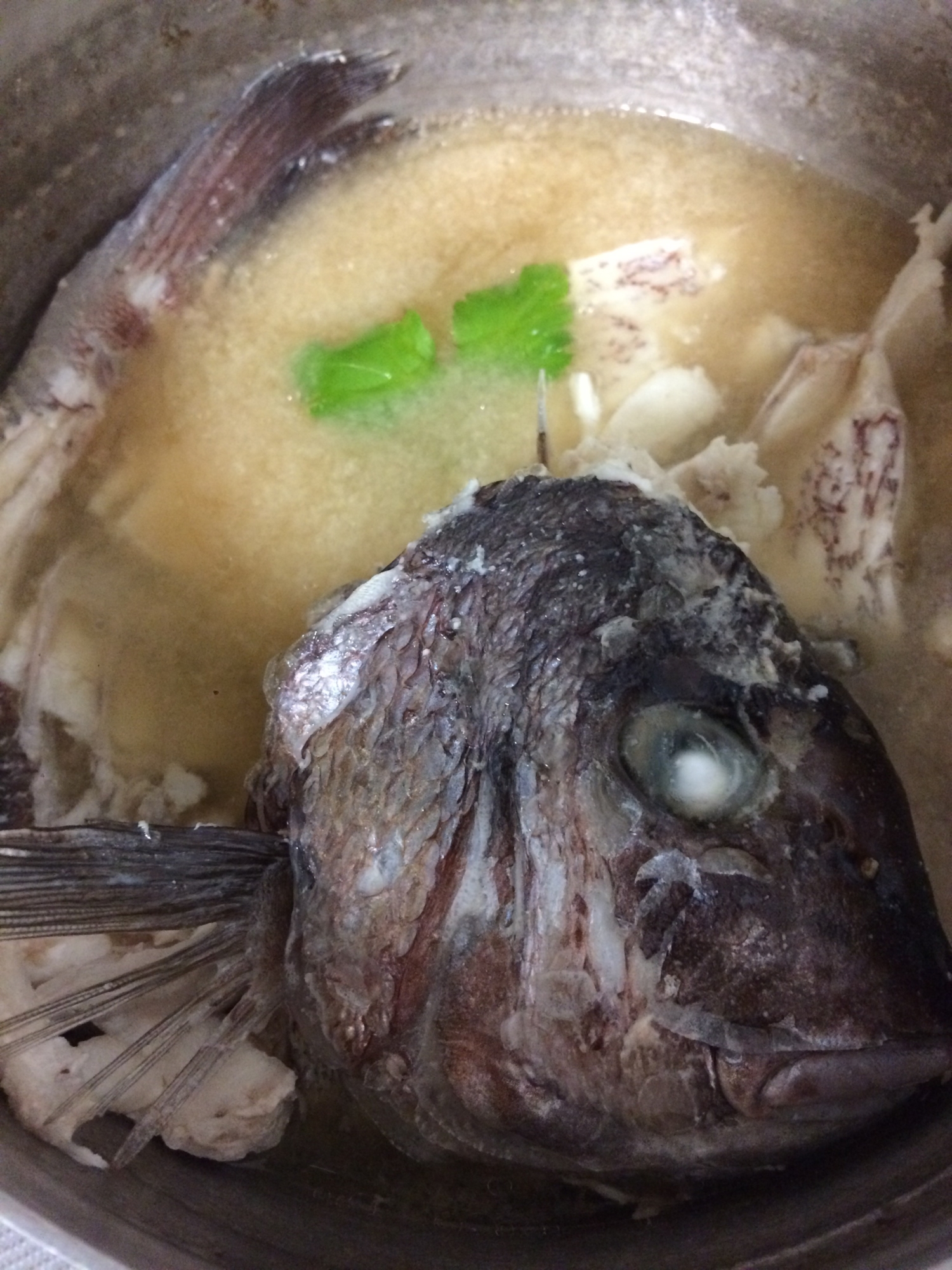 うちの味噌汁 鯛の漁師汁