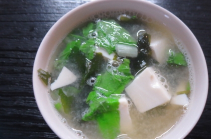 小松菜、千切りキャベツ、わかめの味噌汁