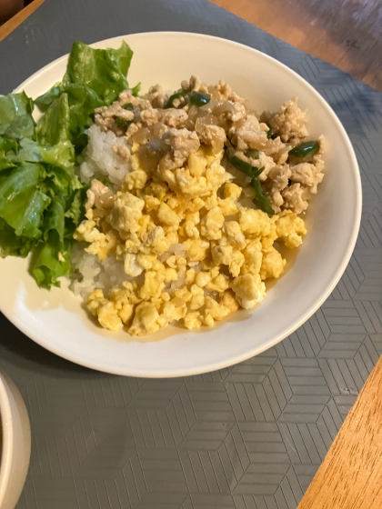 ふわふわ卵の二色丼