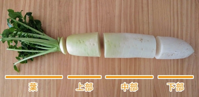 大根まるごと1本使い切り術 部位ごとの特徴と適した料理レシピ 保存方法を解説 デイリシャス 楽天レシピ 大根まるごと1本使い切り術 部位ごとの特徴と適した料理レシピ 保存方法を解説 デイリシャス 楽天レシピ