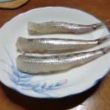 骨ごと食べる ニギスで煮魚 レシピ 作り方 By イササボラ 楽天レシピ 骨ごと食べる ニギスで煮魚 レシピ 作り方 By イササボラ 楽天レシピ