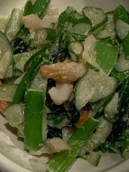 小松菜ときゅうりの胡麻マヨ和え