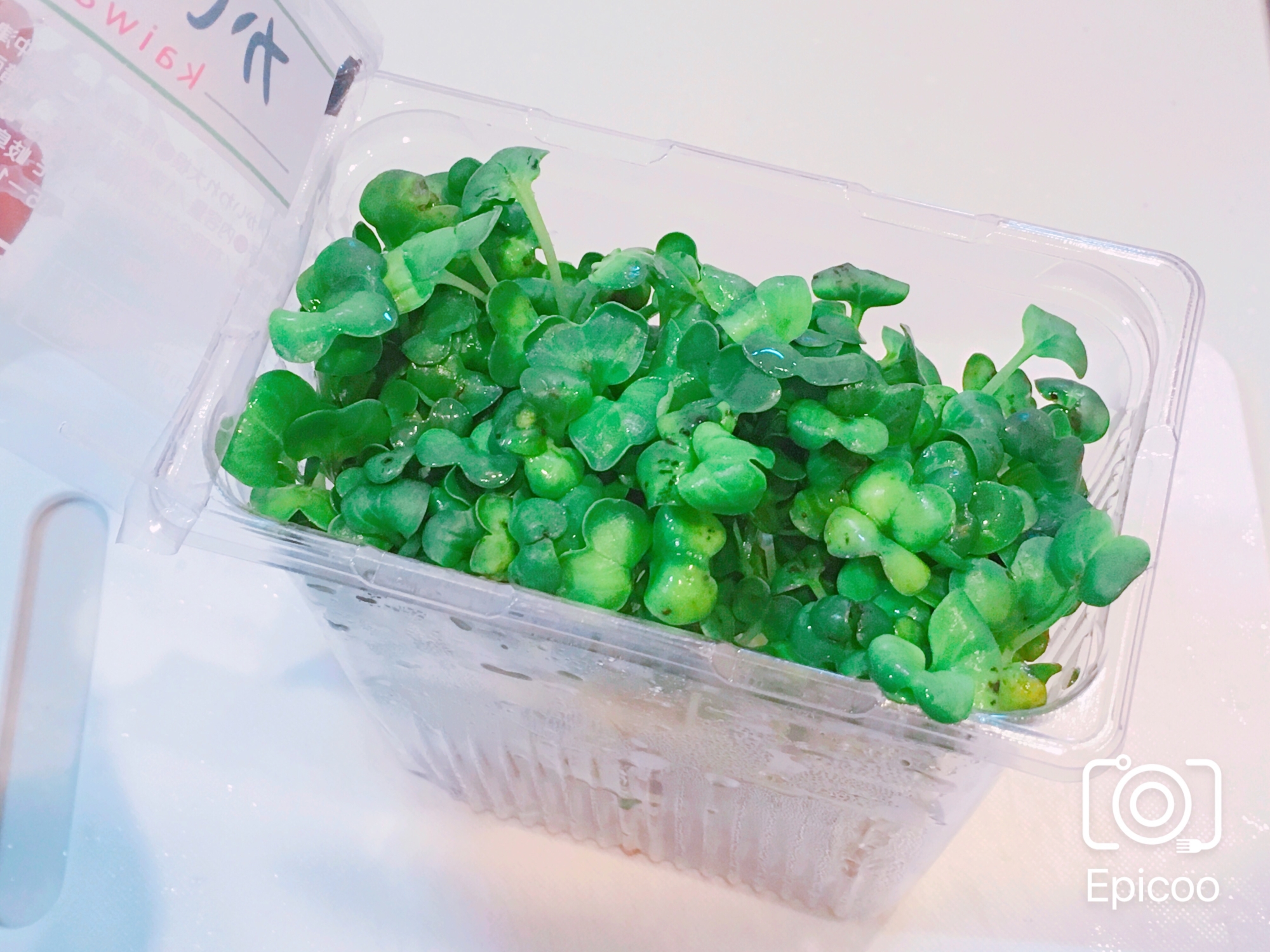 長持ち かいわれ大根の冷蔵保存方法 レシピ 作り方 By 新米幸せママ 楽天レシピ 長持ち かいわれ大根の冷蔵保存方法 レシピ 作り方 By 新米幸せママ 楽天レシピ