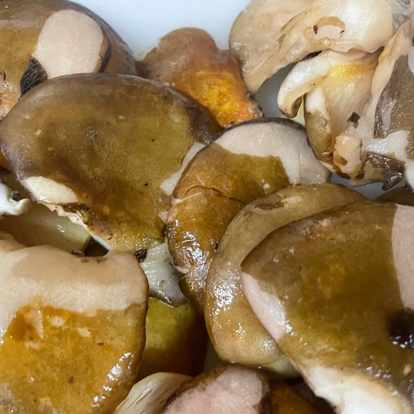 ムキタケの下処理とおすすめりょうりあ レシピ 作り方 By 日本料理研究家のなんでもレシピ 楽天レシピ ムキタケの下処理とおすすめりょうりあ レシピ 作り方 By 日本料理研究家のなんでもレシピ 楽天レシピ