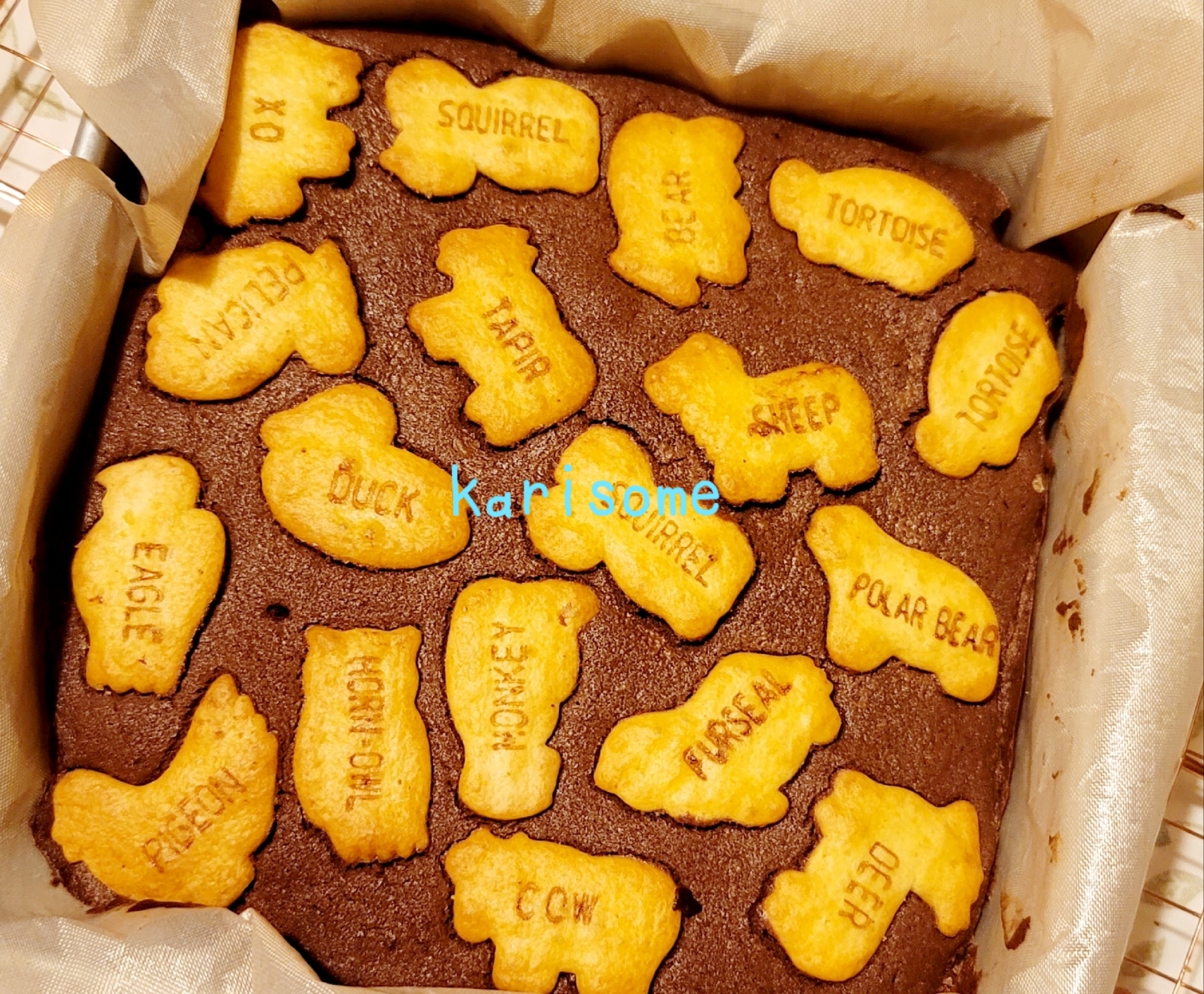 簡単♪♪たべっ子どうぶつブラウニー