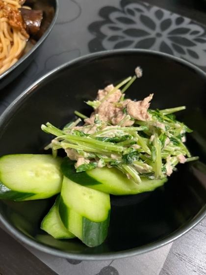 簡単！副菜！豆苗とツナの和風マヨ和え〜