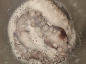 生タコの下処理 レシピ 作り方 By Conori 楽天レシピ