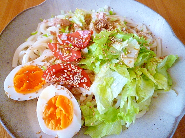 手軽に美味しい♪サラダうどん。