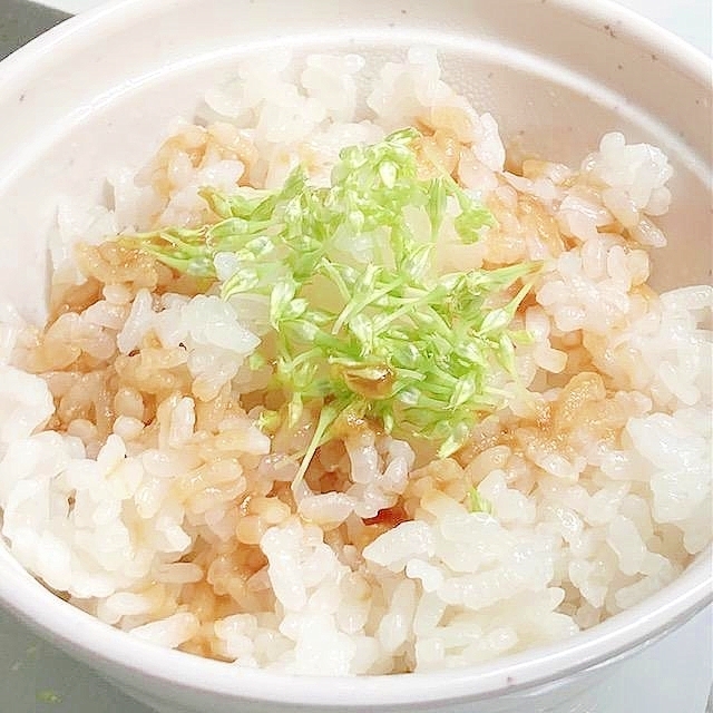 ＜簡単すぎ！＞旬を味わう！ネギ坊主ご飯