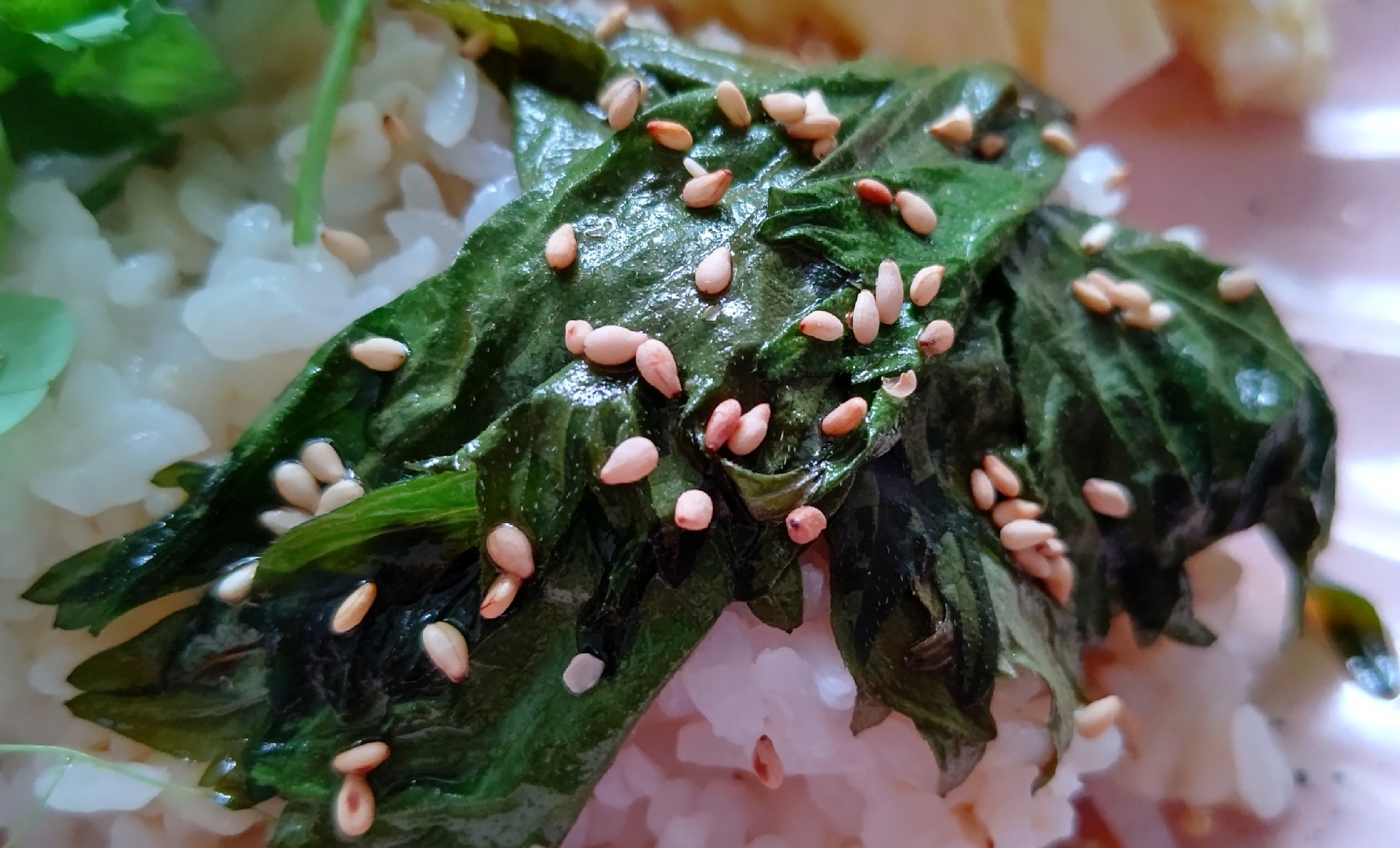 大葉の醤油漬け レシピ 作り方 By 紡 Tumu 楽天レシピ