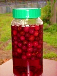 日本初サクランボの缶詰製造元 真っ赤なサクランボ酒 レシピ 作り方 By ブルーボリジ 楽天レシピ 日本初サクランボの缶詰製造元 真っ赤なサクランボ酒 レシピ 作り方 By ブルーボリジ 楽天レシピ