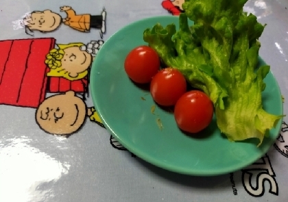 ジオちゃんレタスにトマト手軽で美味しかったです.｡ﾟ+.(･∀･)ﾟ+.ﾟ遅くなってごめんねσ(≧ω≦*)