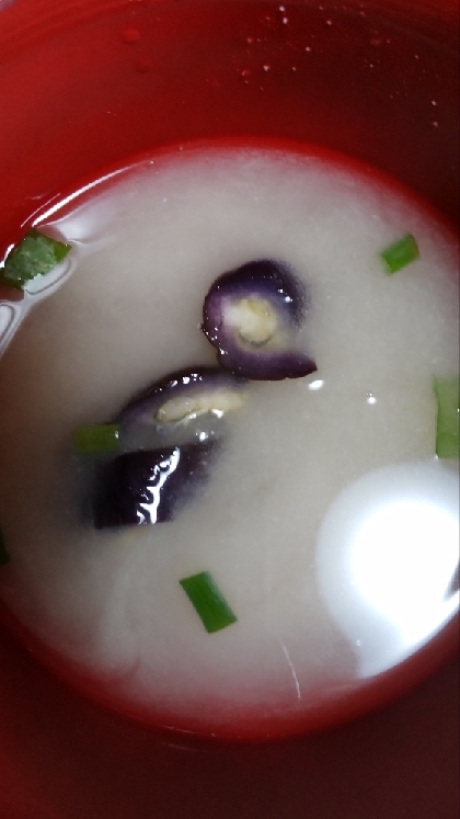 揚げ茄子とねぎの味噌汁（液体みそ）