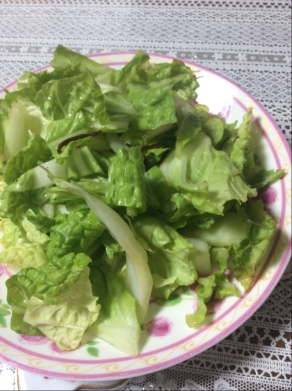 一人ランチに自家製白菜で作りました♡白菜を生で食べるの大好きです〜♡ムシャムシャ食べて健康になった気がする笑
旨旨ご馳走様〜(*^^*)v