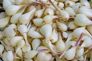 簡単なラッキョウの下処理の仕方 レシピ 作り方 By 和土 楽天レシピ