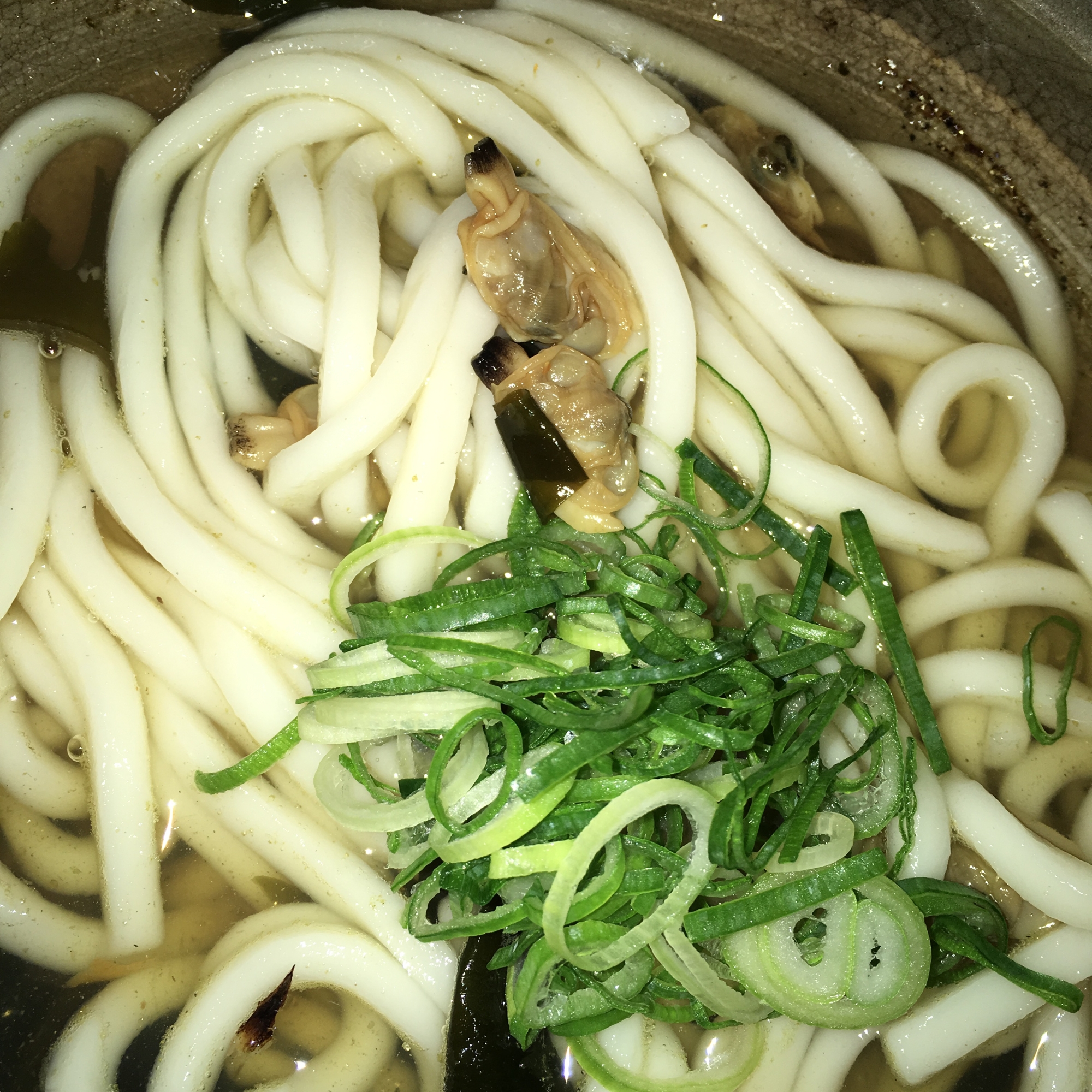 梅こぶ茶でつくる、あさりとわかめのうどん