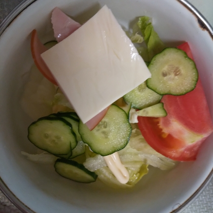 刺身蒟蒻とモッツァレラチーズのヘルシーサラダ
