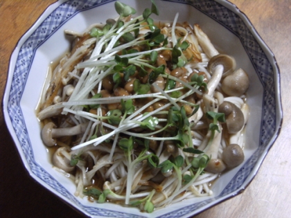 カイワレ買って来たど～♪めんつゆ作ったど～♪相当おいしかったど～（笑）。うどんは冷麦だったｗ一緒だよね？❤・・❤ご馳走様でした！