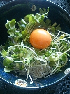 しらす丼